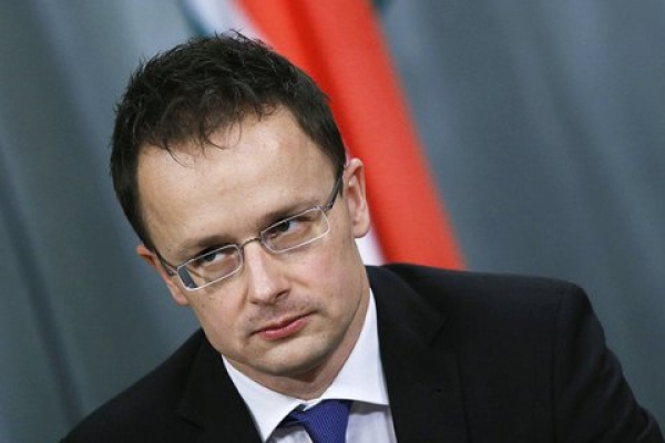 Угорщина стурбована намірами України відновити військову частину в Береговому