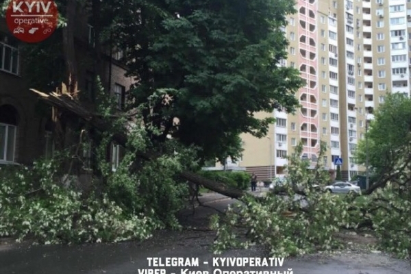 Сильний вітер у Києві масово валить дерева на дороги (Фото)