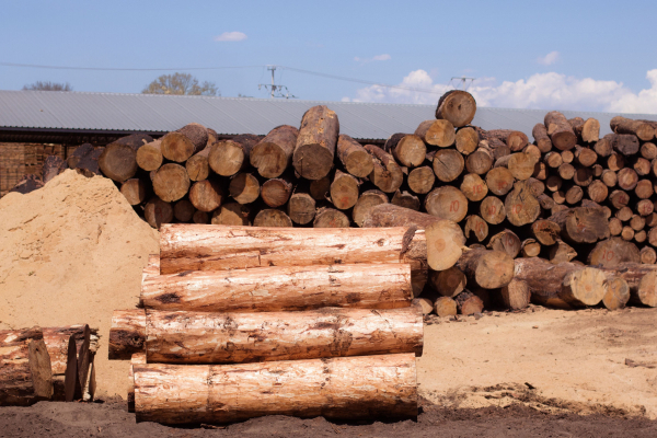Асоціація «Біржові та електронні майданчики» взяла участь у нараді щодо функціонування ринку деревини