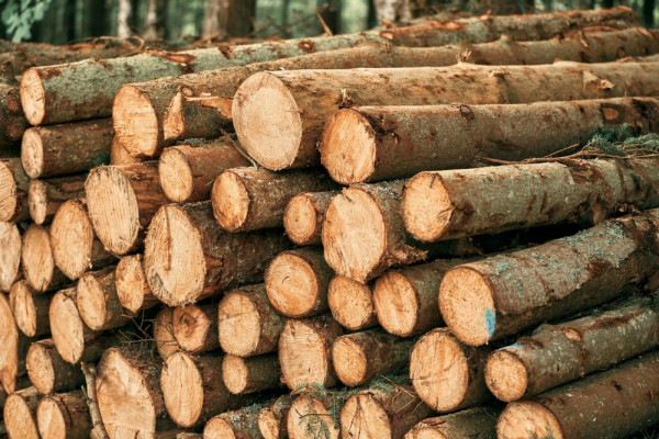 Український кліринговий дім розпочав серію навчальних вебінарів для учасників клірингу за товарним ринком «Необроблена деревина та пиломатеріали»